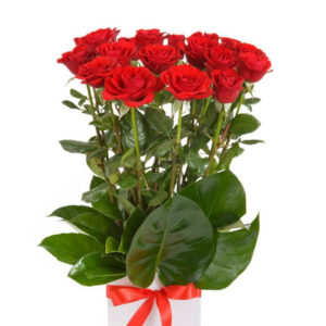 Dozen Red Roses Tall Box Arrangement – Harrisdale