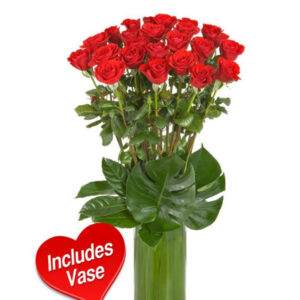 20 Long-Stem Red Roses in Modern Vase – Harrisdale