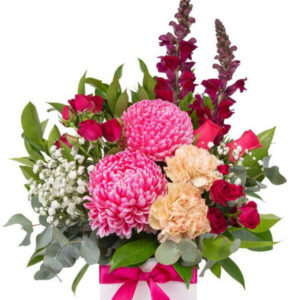 Fuschia & Peach Mixed Flower Cube – Harrisdale
