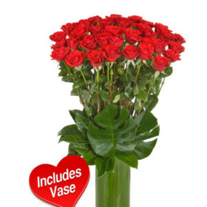 50 Long-Stem Red Roses Grand Luxury Vase – Harrisdale