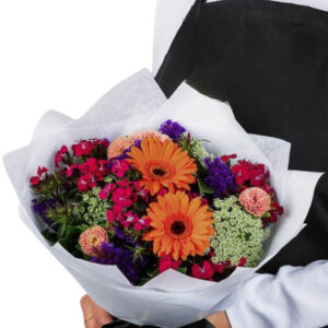 Orange Gerbera Daisies – Harrisdale