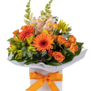 Orange Gerberas – Harrisdale