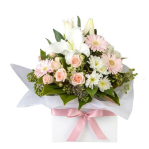 Proteas (King/Pincushion), Australian Natives – Harrisdale