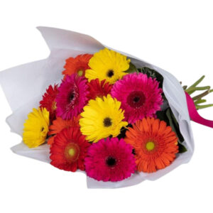 Rainbow Gerbera Bouquet – Harrisdale