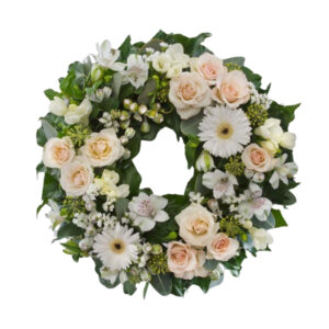 White Orchid Delight – Harrisdale