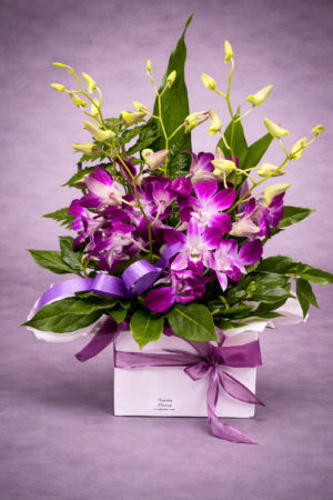 Purple Orchid Elegance Gift Box – Luxury Orchid Delivery Harrisdale WA