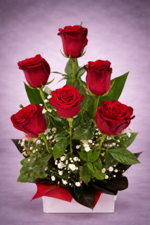 Dewy Fresh Red Roses – Ultra-Fresh Flower Delivery Harrisdale WA