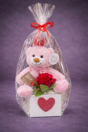 Vibrant Gerbera Daisies Gift Box – Cheerful Flowers Harrisdale WA