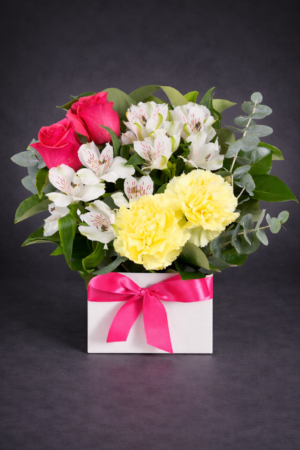 Vibrant Gerbera Daisy Bouquet Box – Colourful Flowers Harrisdale WA