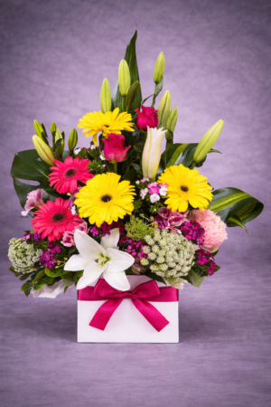 Vibrant Flowers in Ceramic Pot – Long-Lasting Gift Harrisdale WA