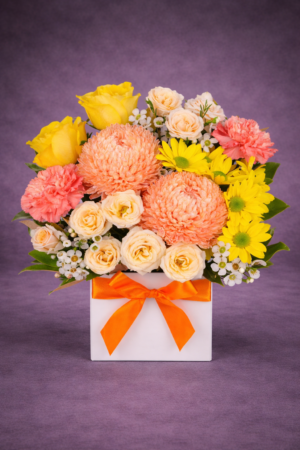 Vibrant Bouquet Against Dark Backdrop – Premium Flowers Harrisdale WA