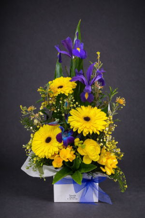Vibrant Floral Bouquet on Purple Backdrop – Regal Flowers Harrisdale WA