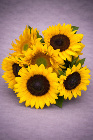 Yellow Roses & Chocolates Arrangement – Sweet Gift Harrisdale WA