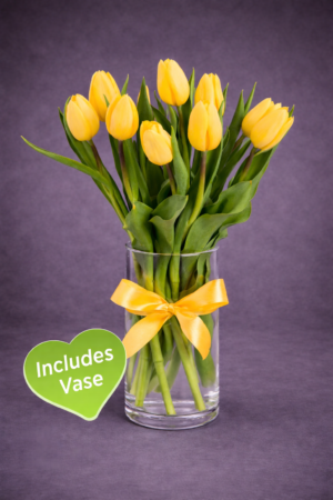 Yellow Tulips in White Paper Wrap – Fresh Tulip Bouquet Harrisdale WA